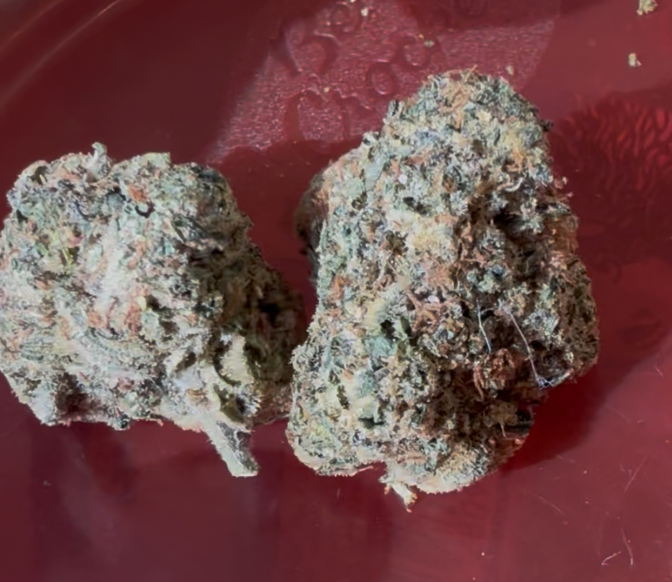 Ztopia - Sativa hybrid