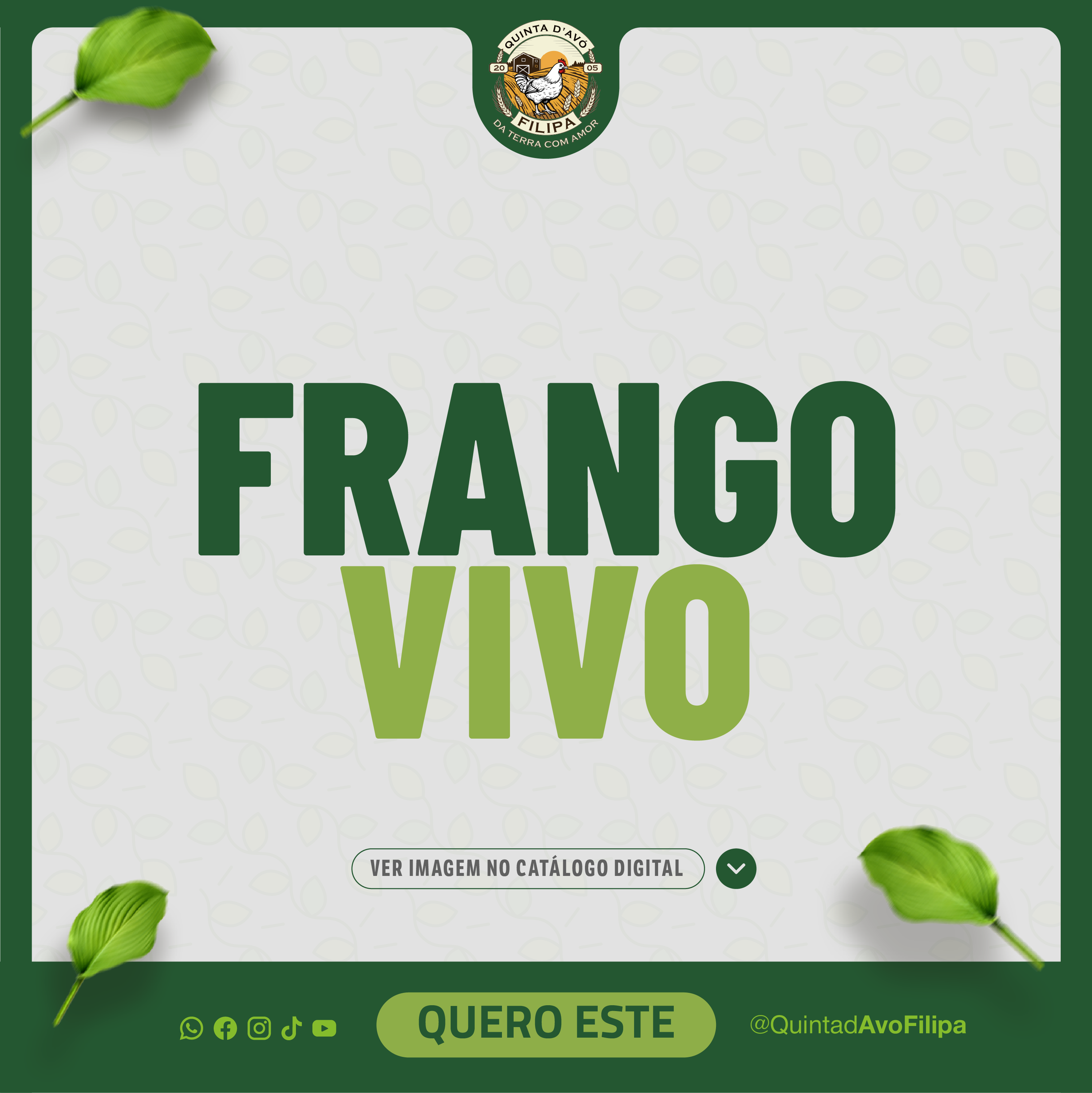 Frango Vivo 1.1 kilo